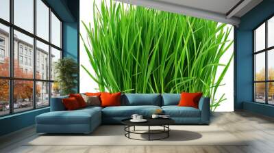 Green grass Wall mural