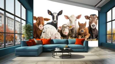 Group of cows and calves isolated on white background ,group of animals farm characters Wall mural