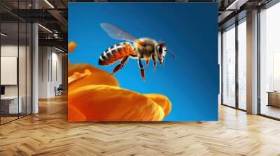 Honeybee in Flight, Towards a Yellow Flower Wall mural