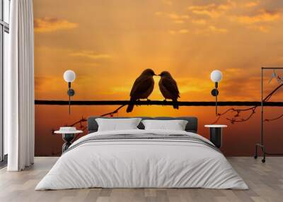 Sunset backdrop frames bird couples silhouette on wire symbolizing affection Wall mural