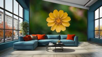 Wild forest yellow flower with unique swirly bokeh background Wall mural