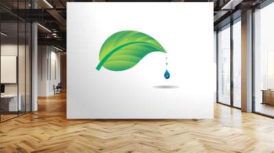 Green leaf with water drops, leaf and water drop element vector Wall mural