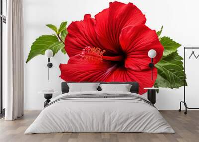 Vibrant Red Hibiscus Blooming Amidst Lush Green Leaves on a Sunlit Day on White or PNG Transparent Background. Wall mural