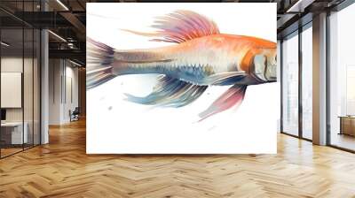 Watercolor catfish illustration using bright colors hand drawn fish isolated on white background. Wall mural