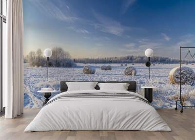 Snow covered hayfield Wall mural