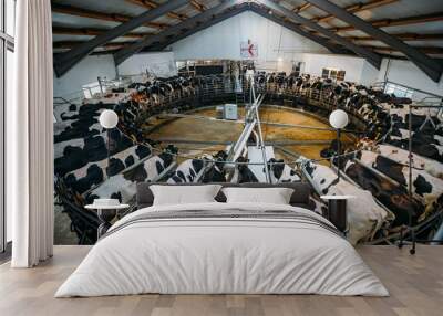 Robotic automatic industrial milking rotary system in modern diary farm. Carousel milking parlor  Wall mural