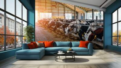 Thoroughbred diary cows in modern free livestock stall Wall mural