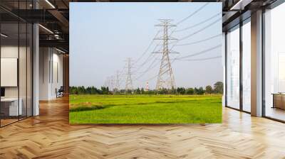 Arrangement of High voltage pole, Transmission tower on rice field in countryside Wall mural