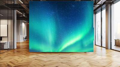 Aurora borealis, Northern lights with starry in the night sky Wall mural