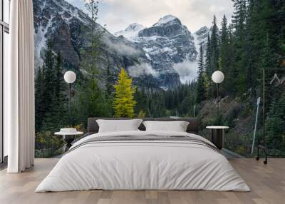 Driving on highway with rocky mountains in autumn forest at Moraine Lake, Alberta Wall mural