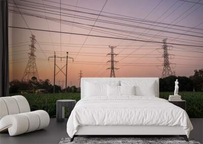 High voltage of electric poles with electric wire on corn field in countryside Wall mural