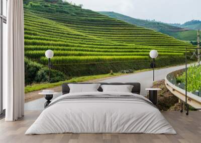 Rice field terraced on hill in highway Wall mural