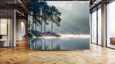 Viewpoint pine forest sunlight shine on fog reservoir in morning at pang oung Wall mural