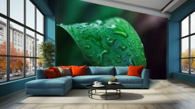 Water drop on green tropical plant leaf Wall mural