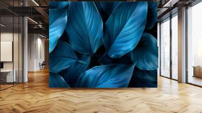 Close-up detail macro texture bright blue green leave tropical forest plant spathiphyllum cannifolium in dark nature background.Curve leaf floral botanical abstract desktop wallpaper,websit Wall mural