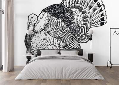 wild turkey avian pet hand drawing Wall mural