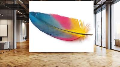 Vividly colored feather of a bird, detailed and isolated on a white background, showcasing natural beauty. Wall mural