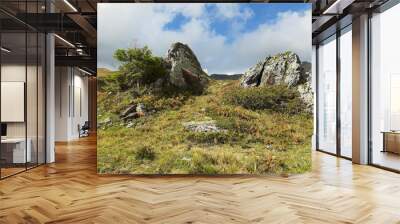 rocky green brown yellow autumn hills Wall mural