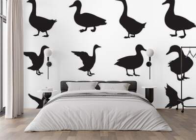 Duck and seagull in various poses. Silhouettes of wild and domestic duck. High quality images for designing poster, banner or flyer and kids video games. Wall mural