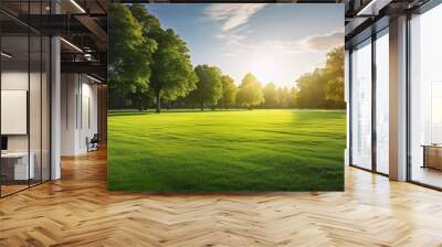 beautiful morning light in public park with green grass field Wall mural