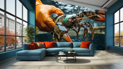 A person holding a lobster in a tank with water bubbles. Wall mural