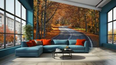 Road through the forest in autumn - fall season Wall mural