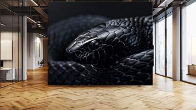 A highly realistic black-skinned Iberian snake with a curled body and a dark green backdrop. Wall mural