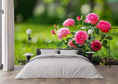 Beautiful pink roses. A fuzzy green garden with a small bouquet of roses. Wall mural