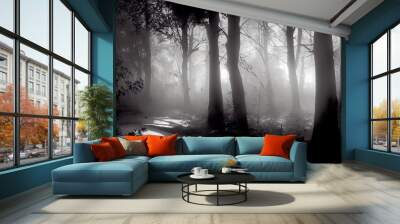 evening light in a dark misty black forest Wall mural