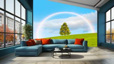 Beautiful landscape with green grass field and lone pine tree amazing rainbow in the background  Wall mural