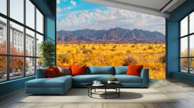 Beautiful lanscape with Brandberg mountain - Damaraland, Namibia  Wall mural