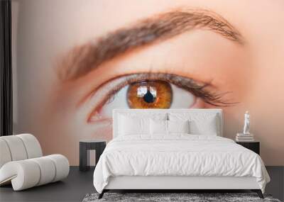 Closeup image of hazel eyes Wall mural