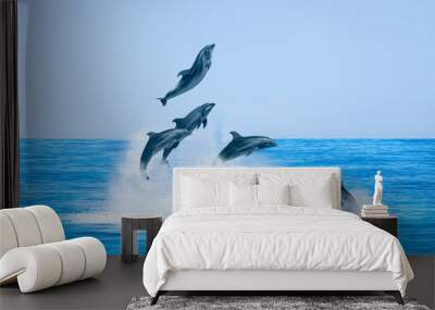 Group of dolphins jumping on the water - Beautiful seascape and blue sky Wall mural