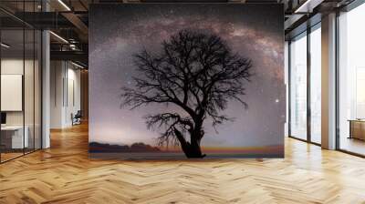 Lone dead tree with amazing Mily Way at sunset Wall mural