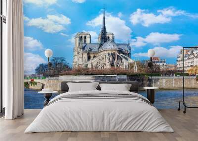 Notre dame de Paris - France Wall mural