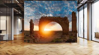 Ruins of the ancient city of Harran - Urfa , Turkey (Mesopotamia) at amazing sunset - Old astronomy tower Wall mural