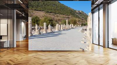 The ruins of the ancient city of Ephesus in Turkey. Wall mural