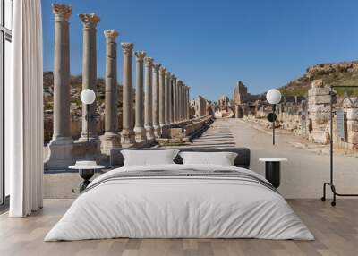 view of the ancient city of Perge in Turkey Antalya. Wall mural