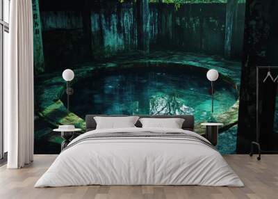 Dark, mossy pool with a tree reflection. Wall mural