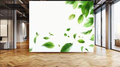 Floating Green Leaves on White Background Wall mural