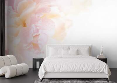 A gorgeous floral background with delicate petals of a blooming peony. Wall mural