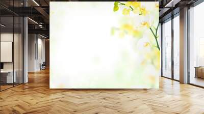 Delicate flower background of yellow orchids Wall mural