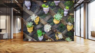 Sustainability, reusing pet bottles and transforming them into pots to plant succulents Wall mural