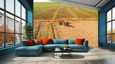 Tractor raking dry sugar cane leaves in the field Wall mural