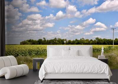 A field of sun flowers under a blue summer sky Wall mural