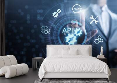 API Application Programming Interface Development technology concept. Wall mural