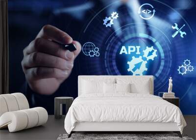 API application programming interface function and procedure development technology concept on screen. Wall mural