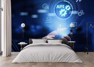 API application programming interface function and procedure development technology concept on screen. Wall mural