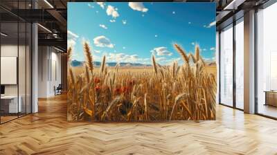 field of ripen wheat crop photo Wall mural