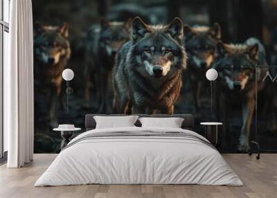 A pack of wolves stand in a dark forest, looking directly at the camera. Wall mural